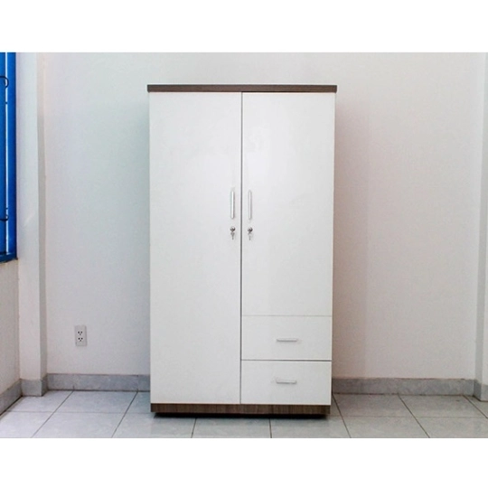 Tủ Quần Áo Anh Khoa- 2 Cánh Cửa Mở Đa Dụng-TA011